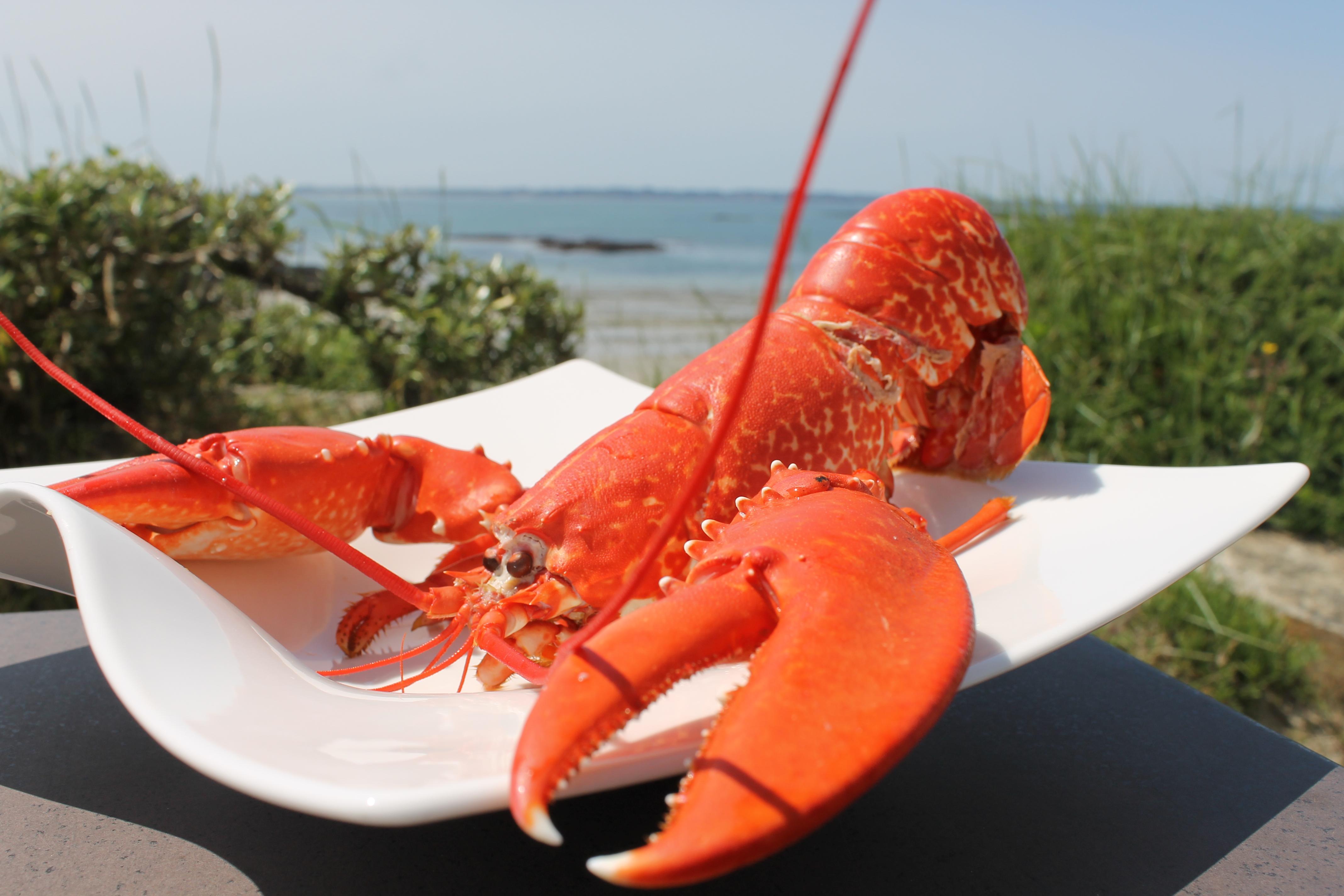 Logis Hotel & Restaurant Les Mouettes - Larmor Plage, Proche De Lorient מראה חיצוני תמונה