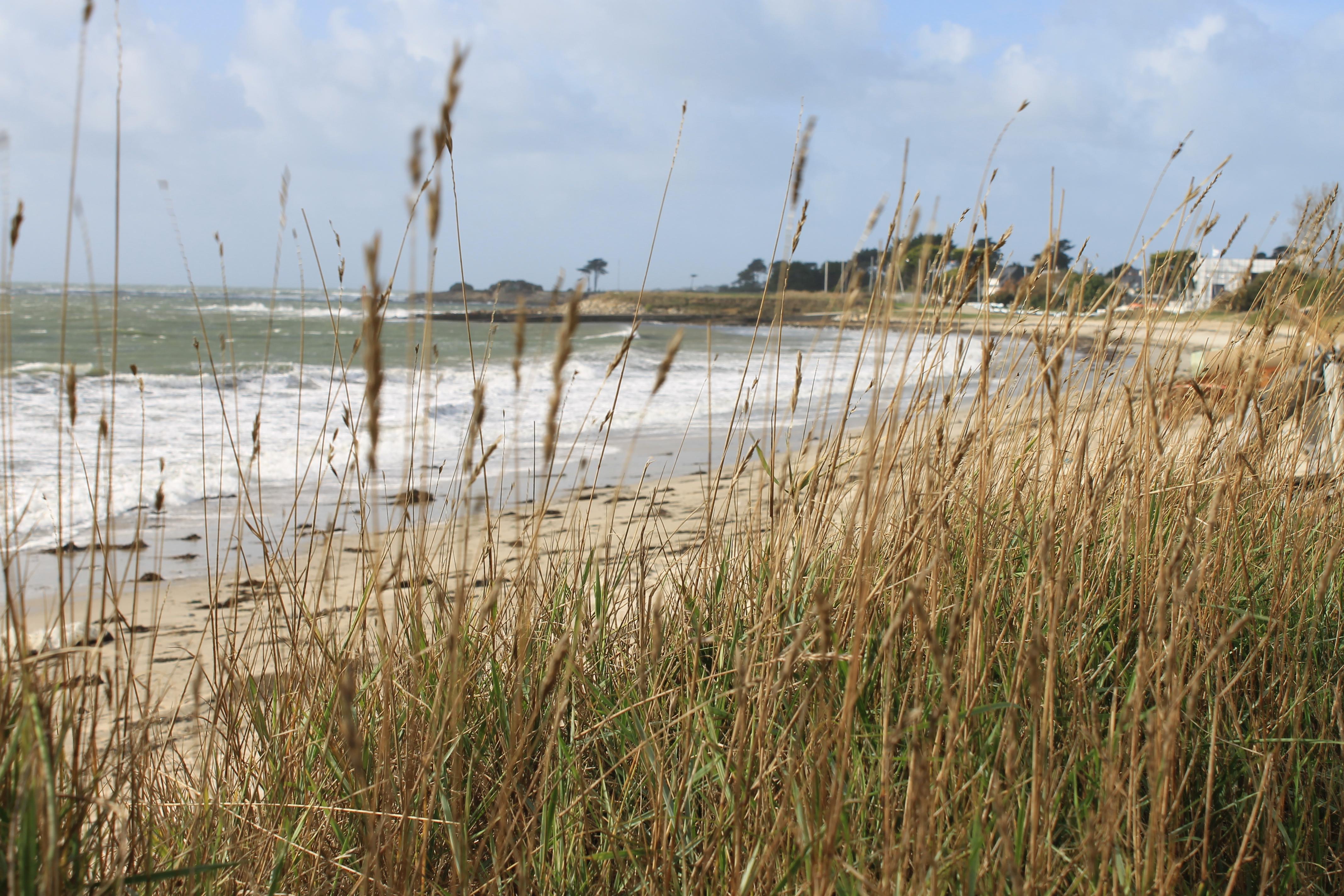 Logis Hotel & Restaurant Les Mouettes - Larmor Plage, Proche De Lorient מראה חיצוני תמונה